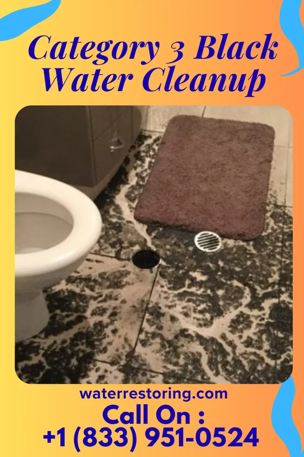 Category 3 Black Water Cleanup in Somerville, NJ