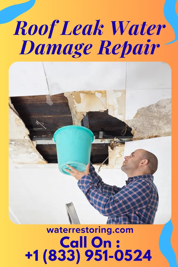 Roof Leak Water Damage Repair in Somerville, NJ